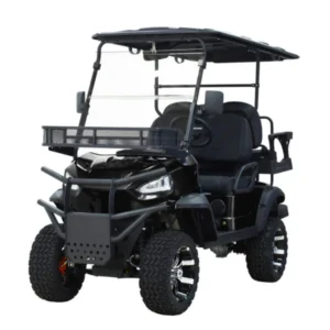 Massimo MEV2X 48V Electric Golf Kart