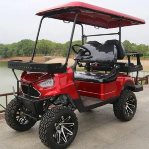 Vitacci T-40 DLX 48V Family Golf Kart