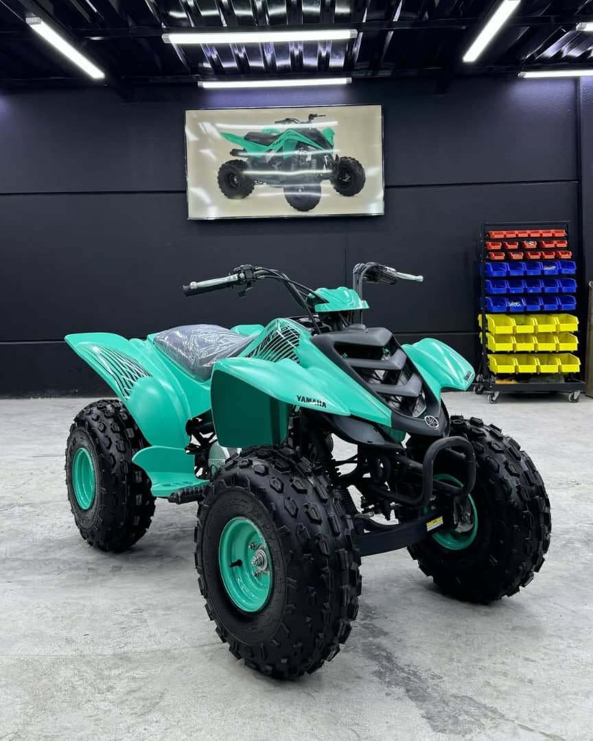 π΅ Yamaha Raptor 90 π ππ¨πππ₯ ππππ β πππ - Image 11