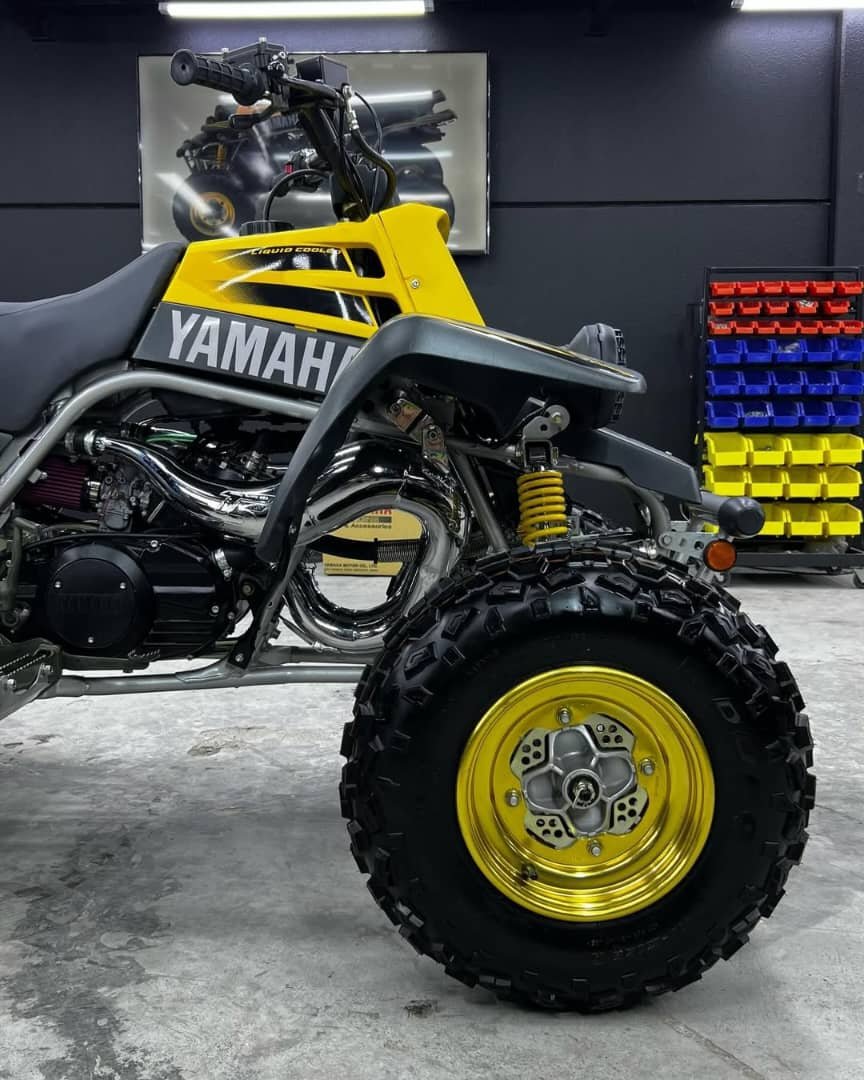 Yamaha Banshee 350 - Image 10