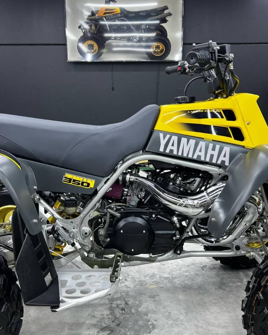 Yamaha Banshee 350 - Image 9