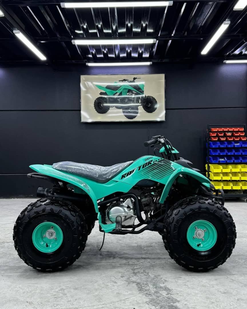 π΅ Yamaha Raptor 90 π ππ¨πππ₯ ππππ β πππ - Image 8