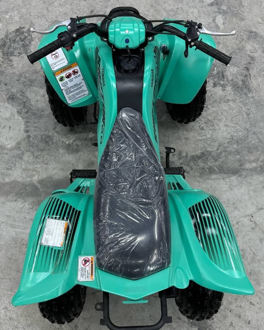 π΅ Yamaha Raptor 90 π ππ¨πππ₯ ππππ β πππ - Image 7