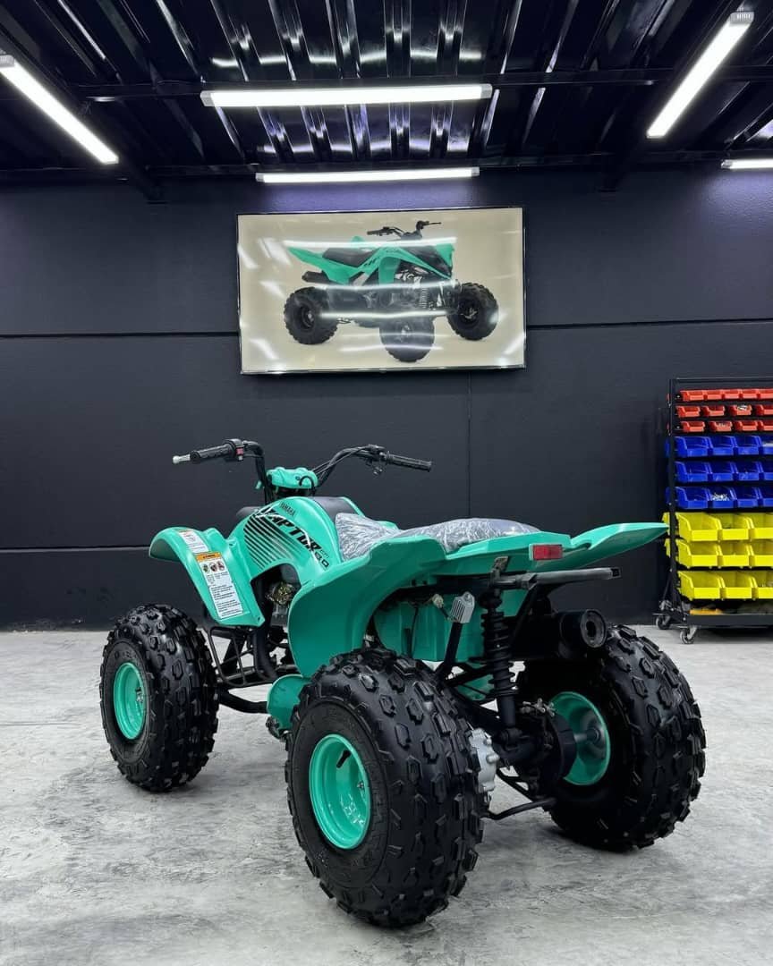 π΅ Yamaha Raptor 90 π ππ¨πππ₯ ππππ β πππ - Image 6