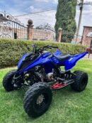 🎨 Design & Features Aggressive, modern sport design Dual halogen headlights + LED taillight � Riva Motorsports & Marine Wide stance for better stability Comfortable YZ-style seat for rider movement � Riva Motorsports & Marine Aluminum wheels with Maxxis tires